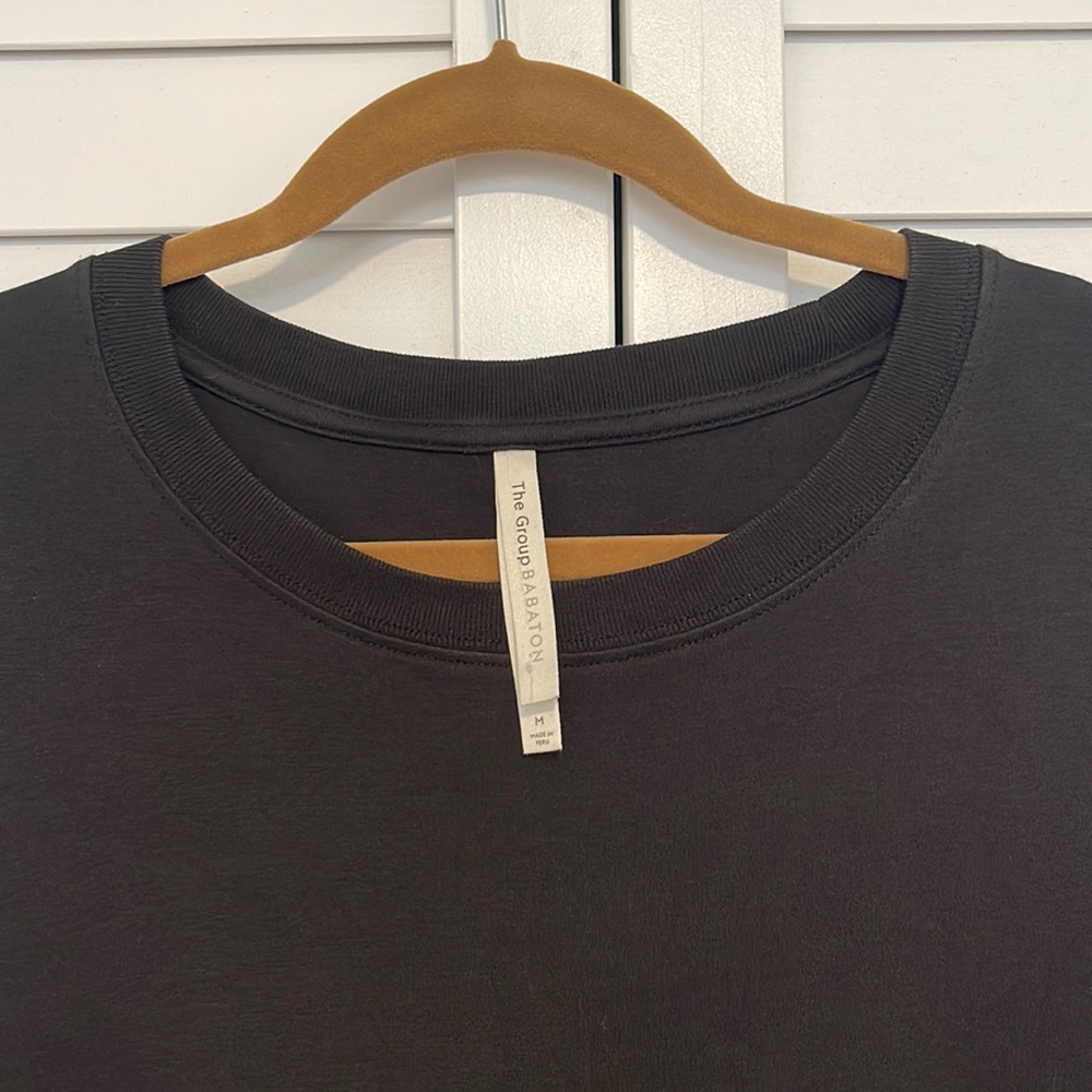 TWO Aritzia/Babaton oversized Organic Cotton Tee Shirts - Picture 6 of 6